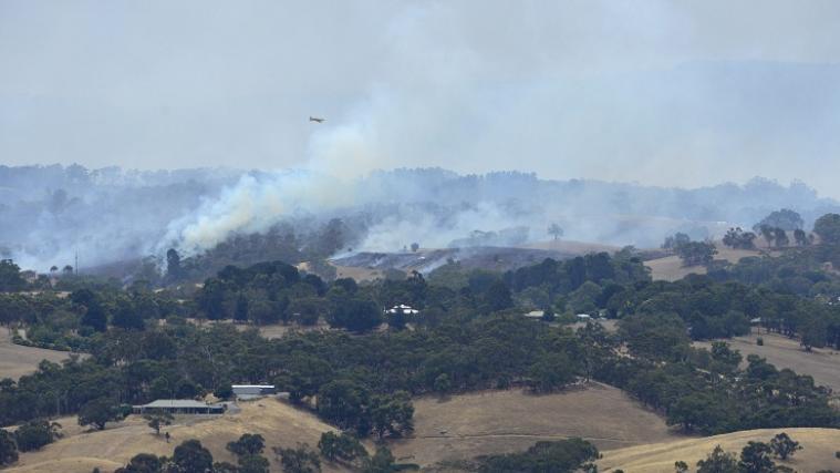 In den Adelaide Hills wütet ein großflächiger Buschbrand.