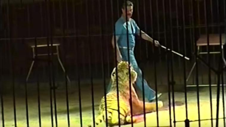 Tiger-Dompteur Ettore Weber auf Archivaufnahmen. - Foto: Ansa/Screenshot YouTube