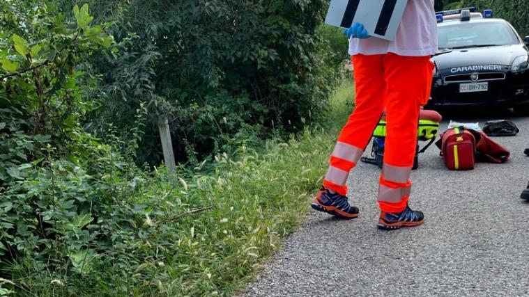 Die junge Frau hatte das Baby in diesem Gebüsch abgelegt. - Foto: Privat