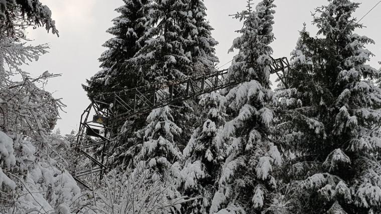 Ein Strommasten ist unter der Last von Bäumen und Schnee zusammengebrochen. - Foto: FFW Vöran