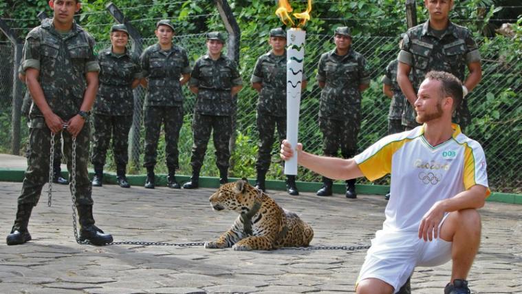Der Jaguar Juma wurde während einer Olympia-Zeremonie getötet.
