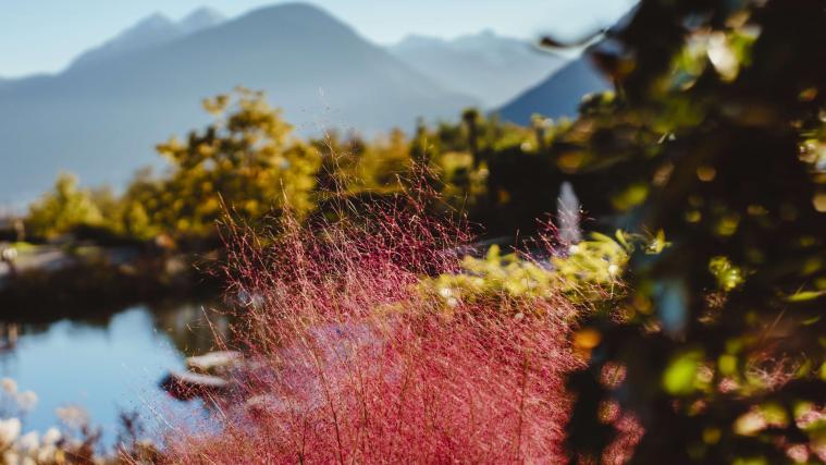 Farbenfroher Herbst in Trauttmansdorff