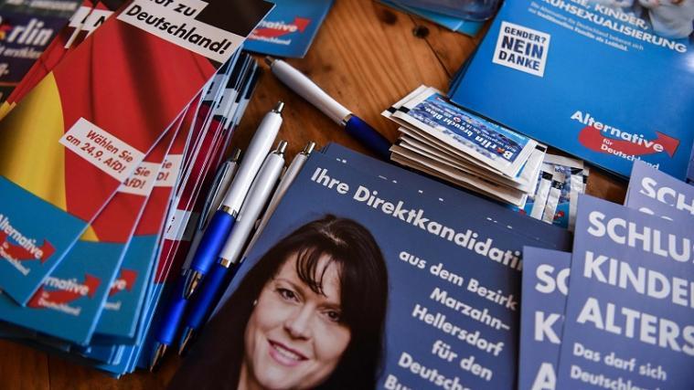 Meinungsforscher prophezeien der AfD keine lange Zukunft im Bundestag.