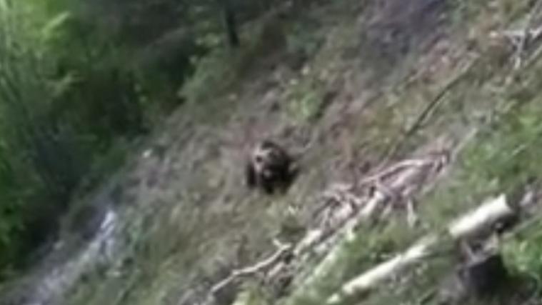 Foto: Screenshot/Video