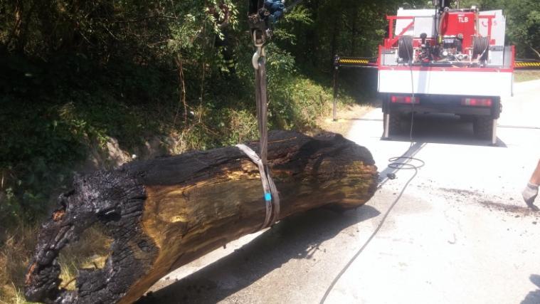 Der in Brand geratene umgestürzte Baum wurde mit Hilfe des Kranwagens geborgen und gelöscht. - Foto: FFW Bozen