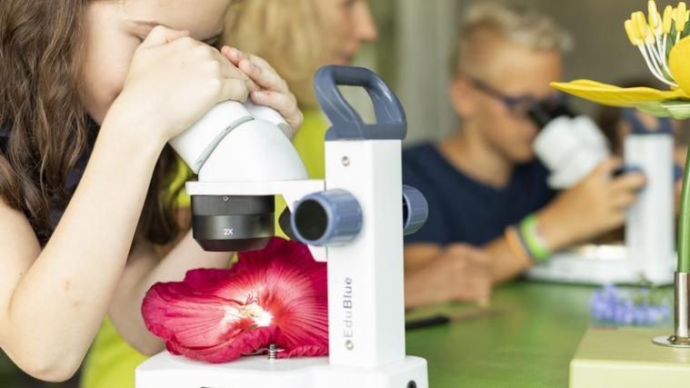 Bei verschiedenen Workshops können Kinder und Erwachsene selbst zu Forschern werden. - Foto: Trauttmansdorff