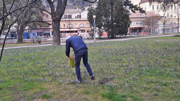 In wenigen Minuten wurden die Früchte von tagelanger Arbeit zunichte gemacht. - Foto: Stadtgemeinde Meran