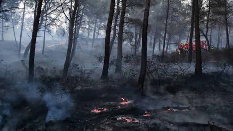 In der Umgebung von Marseille kam es in diesem Sommer zu starken Waldbränden.