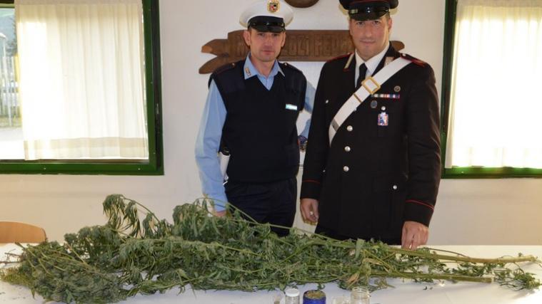 Foto: Carabinieri