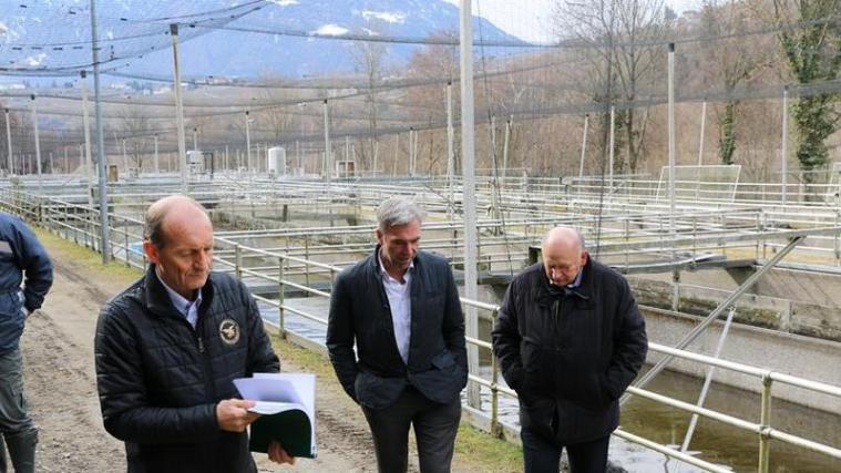 Die ehemalige Landesfischzucht wird zum Artenschutzzentrum für bedrohte Fischarten umgebaut. - Foto: lpa