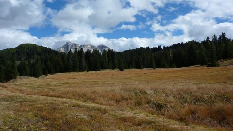 Das Biotop Braia Freida in Corvara muss nicht einem Speicherbecken weichen.