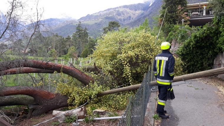Der Baum landete quer über der Verdistraße. - Foto: FFW Gratsch