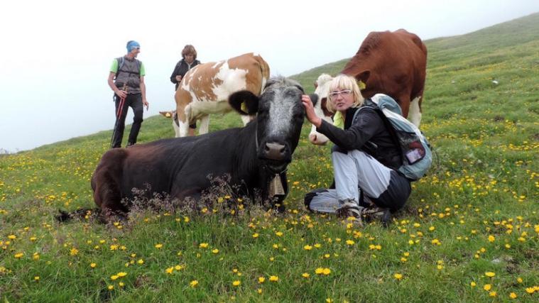 Ein Bild aus glücklicheren Tagen: Roswitha Fleckinger mit ihren Kälbern.