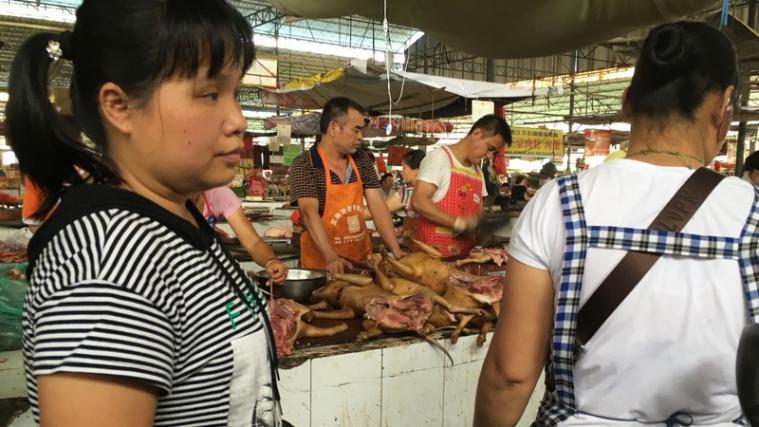 Am Mittwoch hat das traditionsreiche Hundefleisch-Festival in China trotz Protesten begonnen.