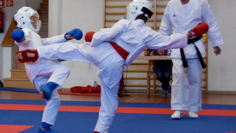 In den beiden Disziplinen Kata (Form) und Kumite (Kampf) haben über 80 Teilnehmer (die jüngste Teilnehmerin war 6 Jahre alt, der älteste Teilnehmer 53) ihr Können unter Beweis gestellt. - Foto: Michael Pezzei