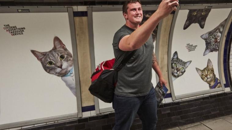 Die Katzen sind los in den UBahn-Tunneln von London. - Foto: Glimpse