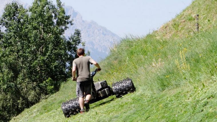 "Aktiver Landwirt" oder nicht? Für Betriebe im Berggebiet ist lediglich der Besitz einer landwirtschaftlichen Mehrwertsteuernummer Voraussetzung. - Foto: LPA/pixabay