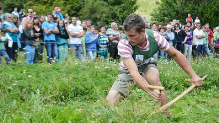 Beim Mähen kommt es auf Schnelligkeit und Präzision an. Foto:SBJ