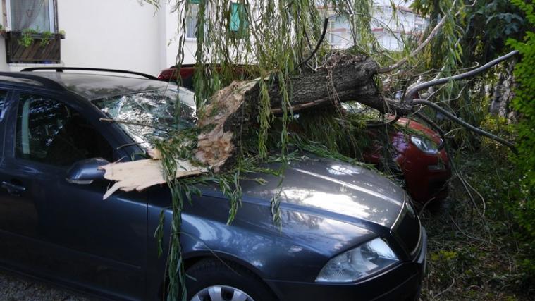 Der Ast einer Trauerweide stürzte auf die darunter geparkten Autos. - Foto: Videoaktiv