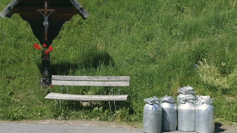 Mit dem Kauf von heimischer Milch fördern Konsumenten auch die Erhaltung kleiner Betriebe, ein lebenswertes ländliches Gebiet und eine gepflegte Landschaft. - Foto: Andree Kaiser