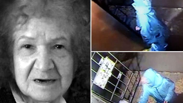 In der Wohnung der 68-jährigen Tamara Samsonova fanden die Ermittler ein Tagebuch, in dem insgesamt elf Morde detailliert geschildert werden - auf russisch, englisch und deutsch.