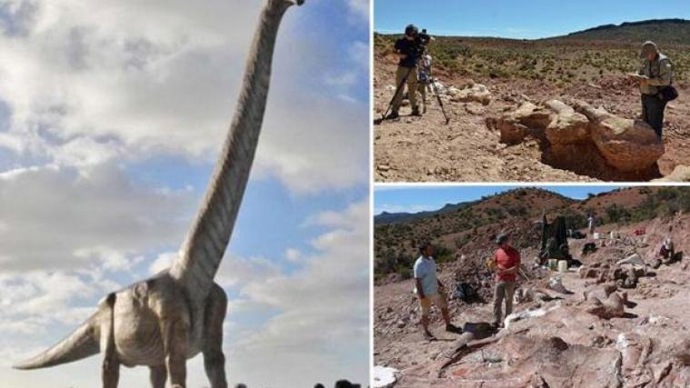 Der Patagotitan mayorum.