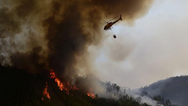 Bei den Waldbränden in Portugal ist die Zahl der Todesopfer weiter gestiegen.