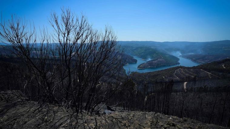 Laut den Behörden sind 95 Prozent der verheerenden Waldbrände in Portugal mittlerweile unter Kontrolle.
