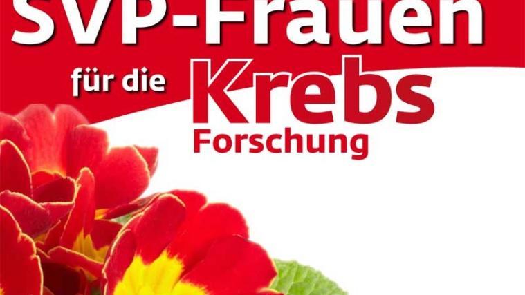Rund um den Tag der Frau werden Primeln für den guten Zweck verteilt. - Foto: SVP