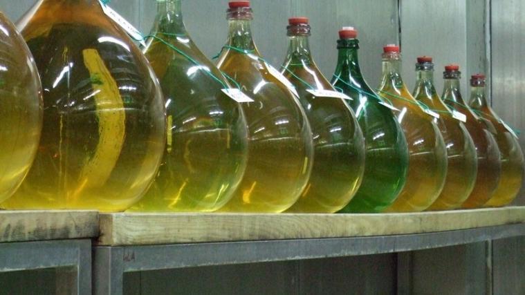 Anfang März konnten die ersten Ergebnisse des EFRE-Projekts PinotBlanc präsentiert und die Versuchsweine verkostet werden. - Foto: © Versuchszentrum Laimburg