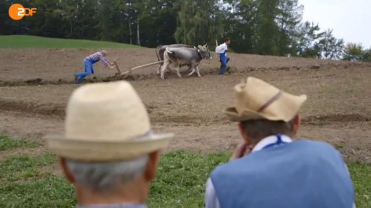 Die Haflinger Bauern beobachten Restauranttester Christan Rach beim Pflügen. Foto: ZDF