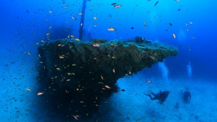 Skelettfunde im Meer sind äußerst selten, meistens werden die Leichen weggespült oder von Fischen gefressen.
