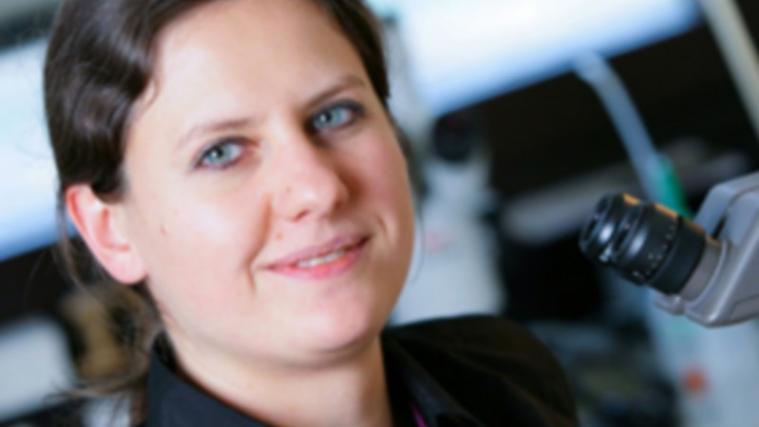 Die Tiroler Mikrobiologin Sigrid Neuhauser hat einen bisher unbekannten Einzeller als Parasit der größten Braunalgen der Welt identifiziert. - Foto: UNI Innsbruck