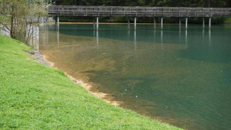 Der gelblich-braune Film im Mühlwalder Stausee ist auf die Pilzsporen des Fichtennadelblasenrostes zurückzuführen. Foto: lpa