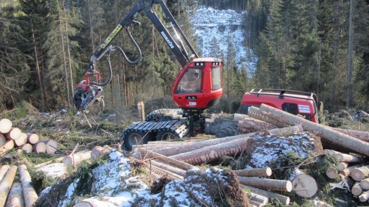 Aufräumarbeiten nach Vaia: Für Harvester gibt es geringere Prämien als für Arbeiten mit Seilkran.
