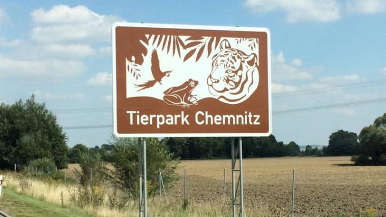 Im Chemnitzer Zoo ist ein Raubtierpfleger von einem Leopardenweibchen angefallen und verletzt worden. - Foto: Facebook