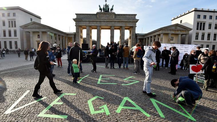 Auf Schildern stand „Yes, ve gan!“ und „für eine bessere Welt GO VEGAN“.