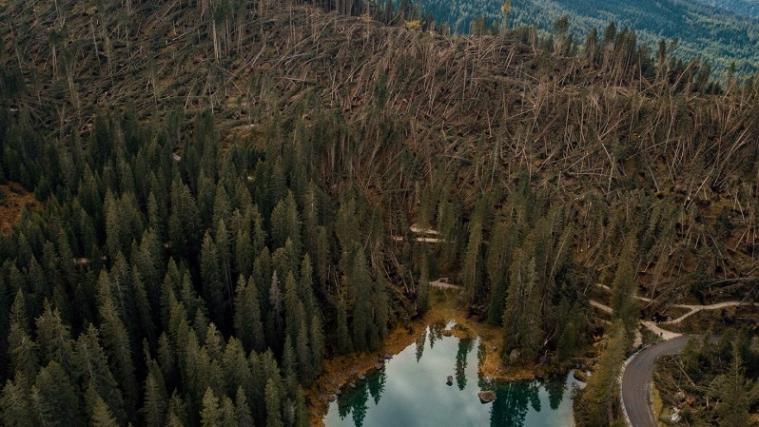 Am Karersee liegen die Bäume wie Streichhölzer am Boden. - Foto: Walter Donegà