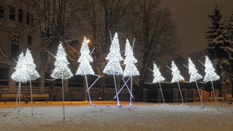 Der Weg durch die Weihnachtsbäume.