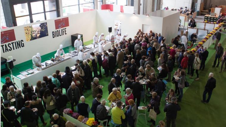 Biolife und Herbsmesse begeistern. Foto: David Wehnert