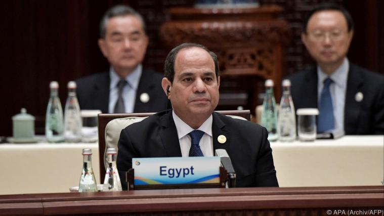 Sisi begnadigte auch regierungskritische Demonstranten. - Foto: APA (Archiv/AFP)