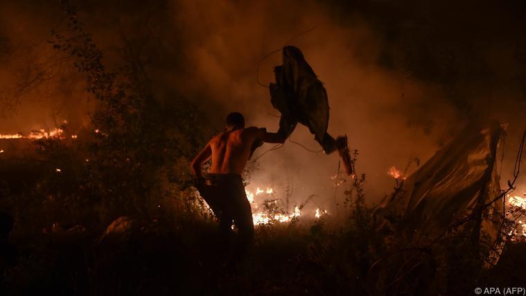 Der Kampf gegen die Flammen im Nordwesten Spaniens hat erneut begonnen. - Foto: APA/AFP