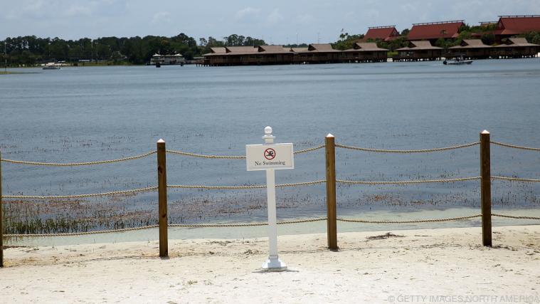 „Schwimmen verboten” - aber kein Hinweis auf Gefahr durch Alligatoren. - Foto: getty images