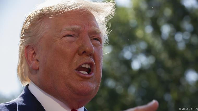 US-Präsident Donald Trump sieht diese Abschiebungen als seine "Pflicht". - Foto: APA (AFP)