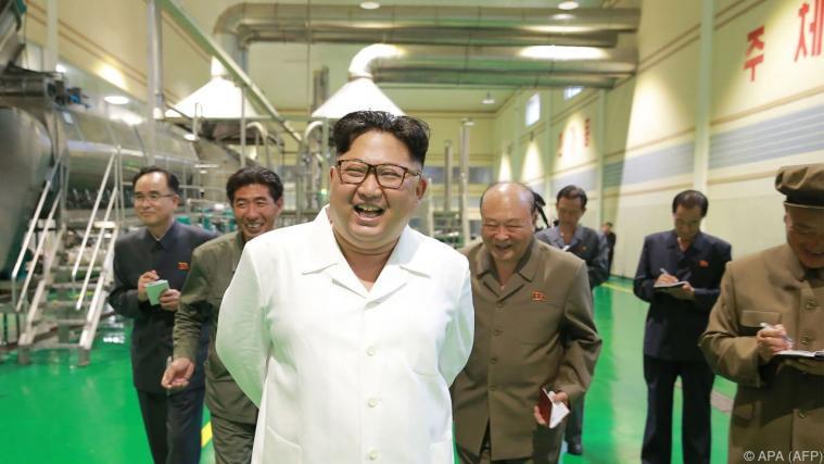 Kim scheint mit dem Verlauf der Ereignisse zufrieden zu sein Foto: APA (AFP)