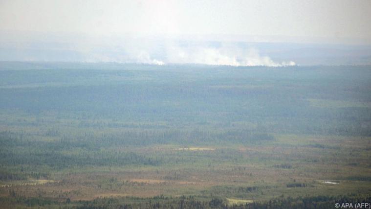 Die Waldbrandsituation scheint sich langsam zu entspannen Foto: APA (AFP)