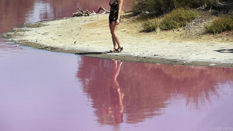 Pinkes Wasser als Touristenattraktion. - Foto: APA (AFP)