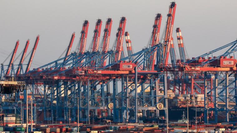 Globalisierungsgegner sind auf dem Vormarsch. - Foto: APA (dpa/Symbolbild)