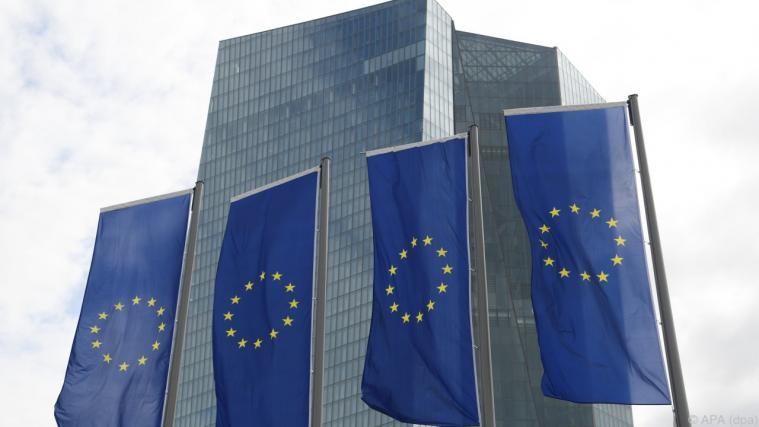 Manche fordern eine Überprüfung der EZB-Vorhersage-Modelle.- Foto: APA (dpa)