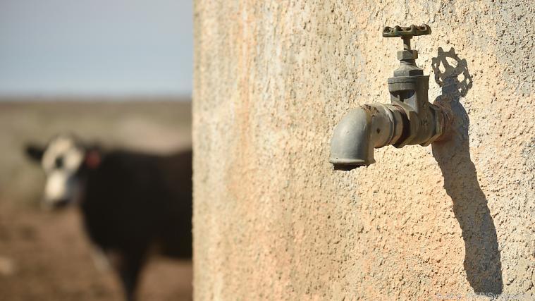 Teile Australiens leiden unter Trockenheit Foto: APA (AFP/Symbolibld)